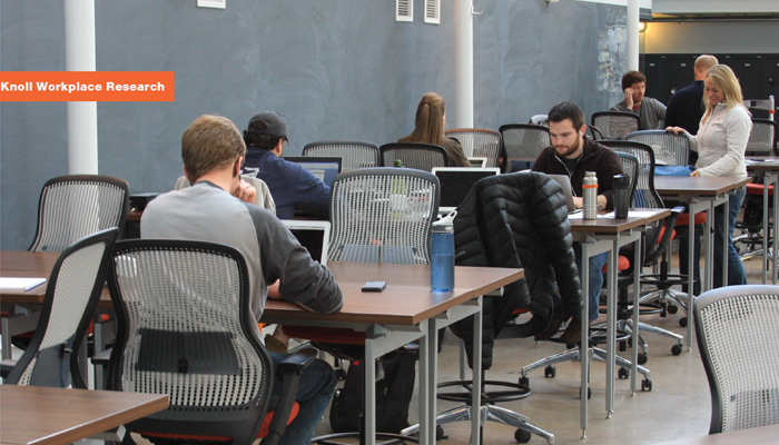 Knoll case study image