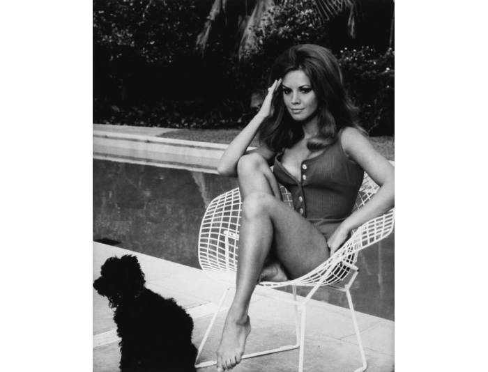 Actress Jocelyn Lane seated in Harry Bertoia's Diamond Chair. Photograph by unknown photographer.