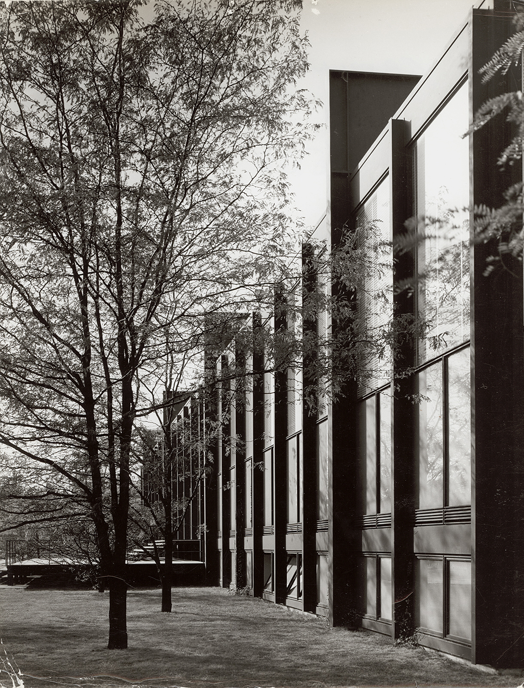 Illinois Institute of Technology by Ludwig Mies van der Rohe | PC: Knoll Archive | In Conversation with Sarah Rogers Morris | Knoll Inspiration