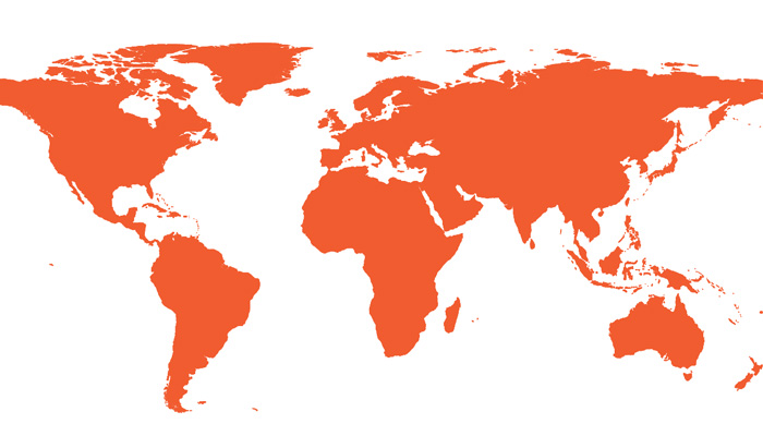 Knoll Global Business Division