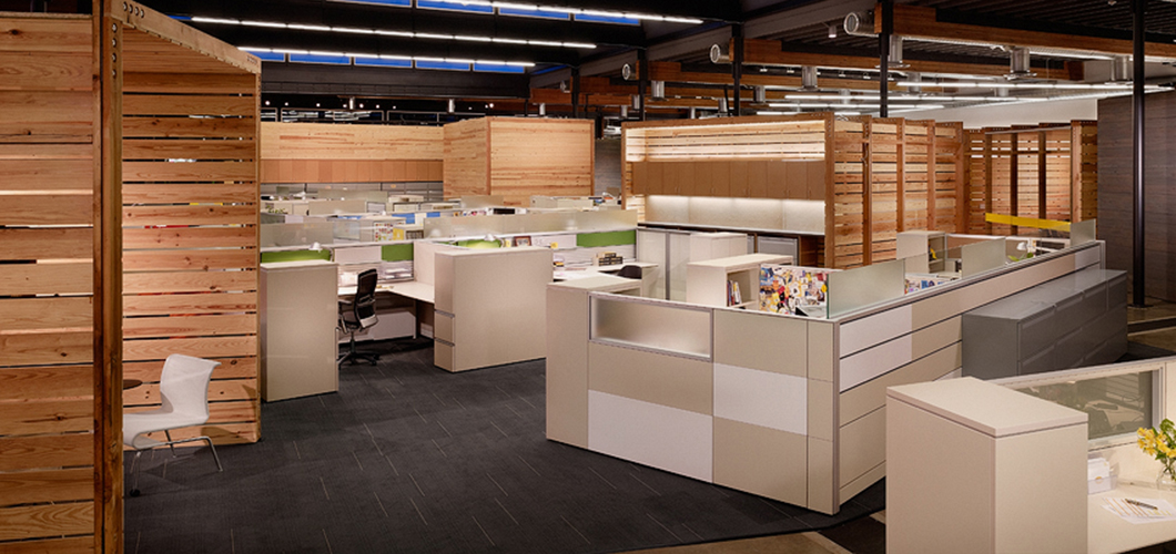 Lance Armstrong Foundation Project Profiles Knoll