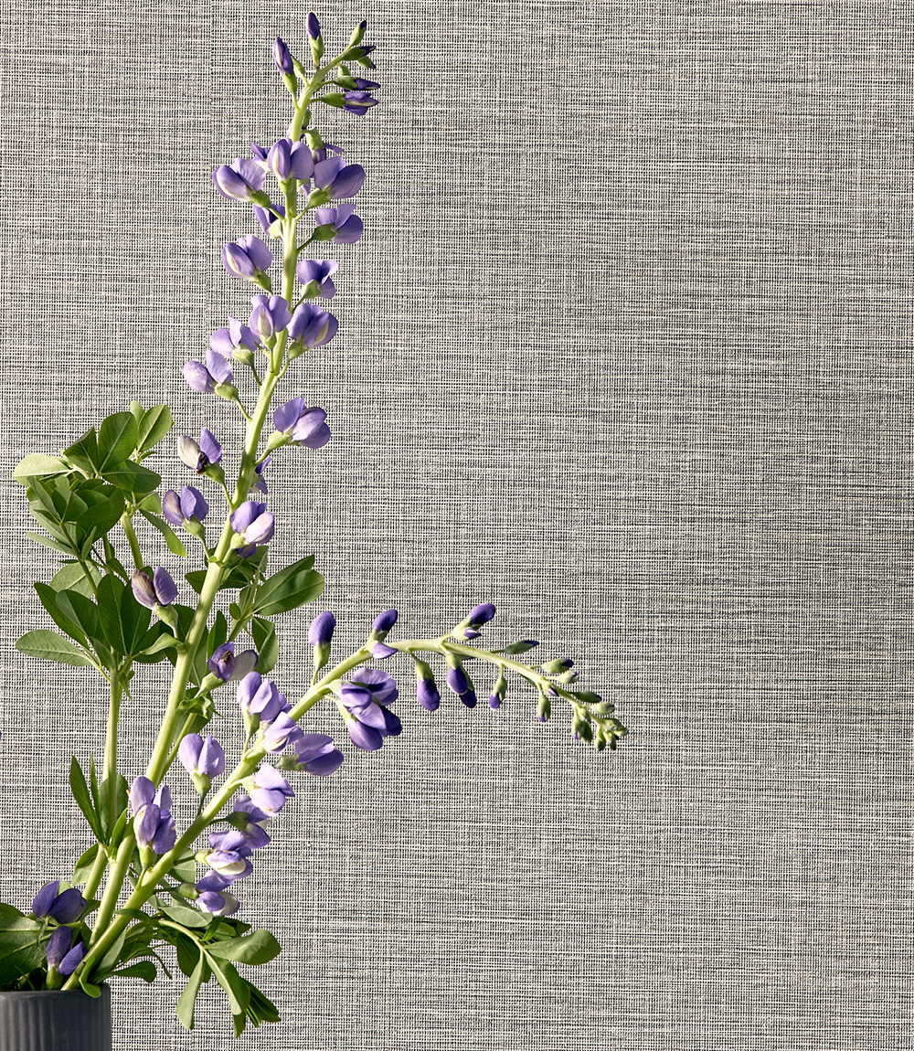 Knoll Textiles Headline Wallcovering