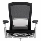 Knoll black Life chair with Lumbar Support.