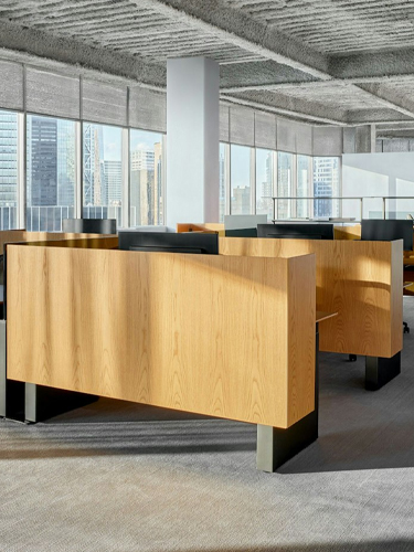 Dividends Skyline Screens
