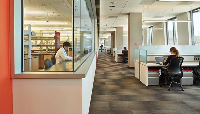 Research area with AutoStrada® Service Wall with Dividends Horizon® Worksurfaces, Series 2™ Pedestals and ReGeneration by Knoll® Chairs