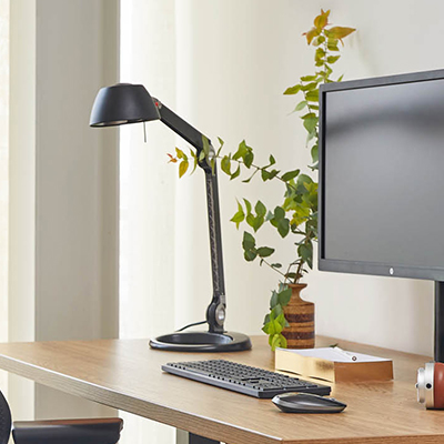 Shop Knoll Lighting and Accessories for Home Office