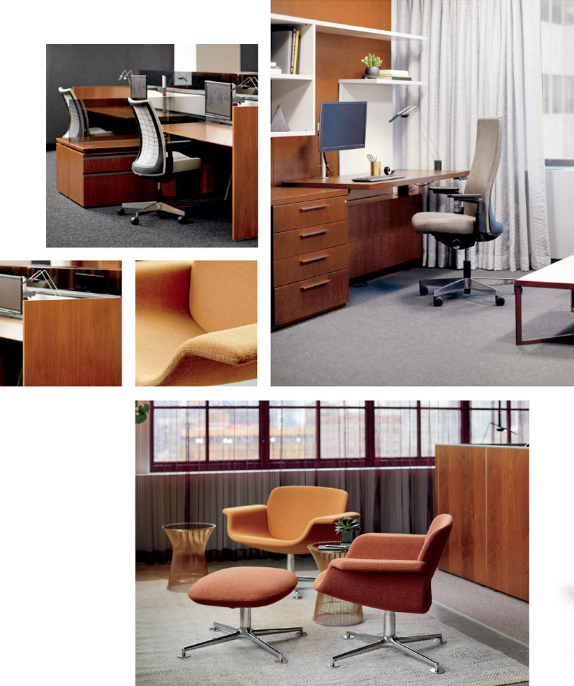 Knoll Essentials 2020