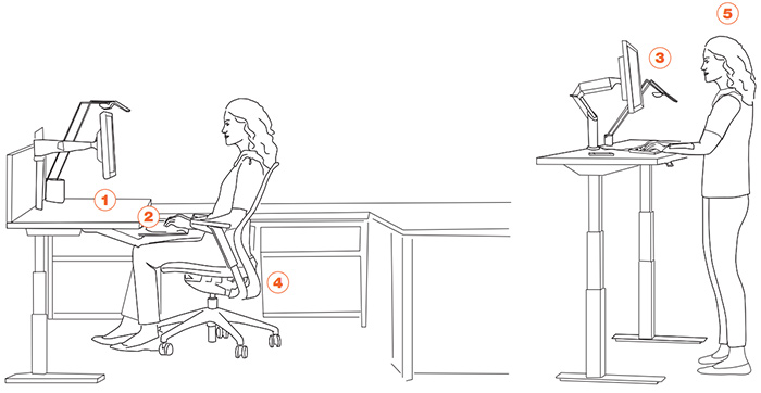 An Ergonomic Setup Guide Sit To Stand Workstation Workplace