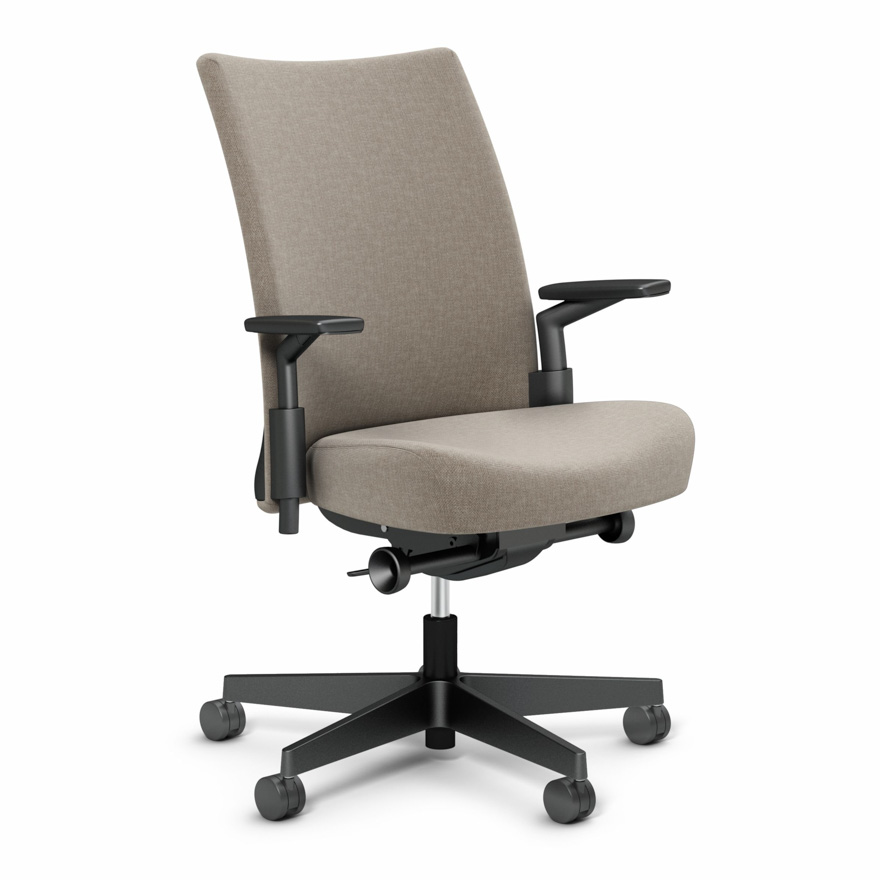 Remix Ergonomic Chair Knoll