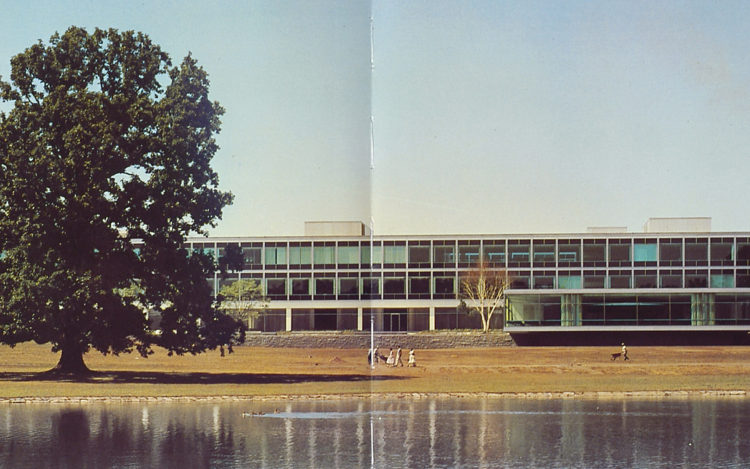 Avison Young Color 4