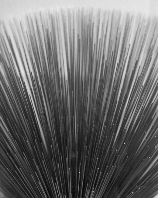 Bertoia Sculpture 1