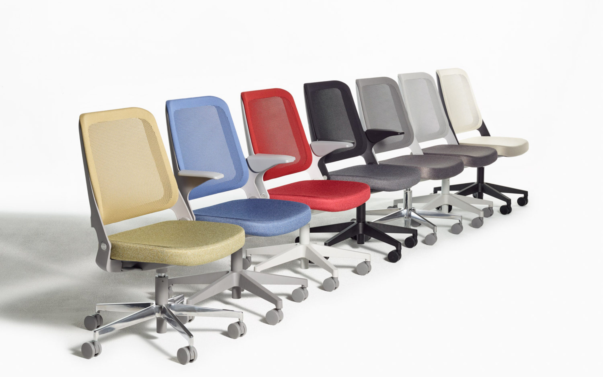 Presenting Ollo Knoll