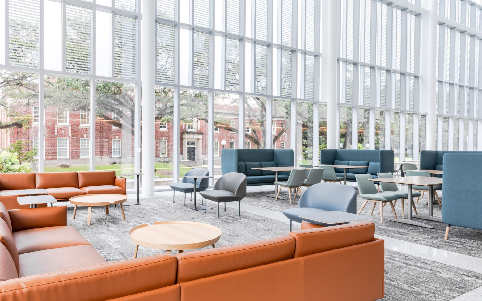 Project Profile - Tulane University Commons - Knoll